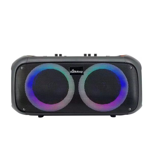 Outdoor Karaoke 6.5 Inch Speakers Professional Audio
