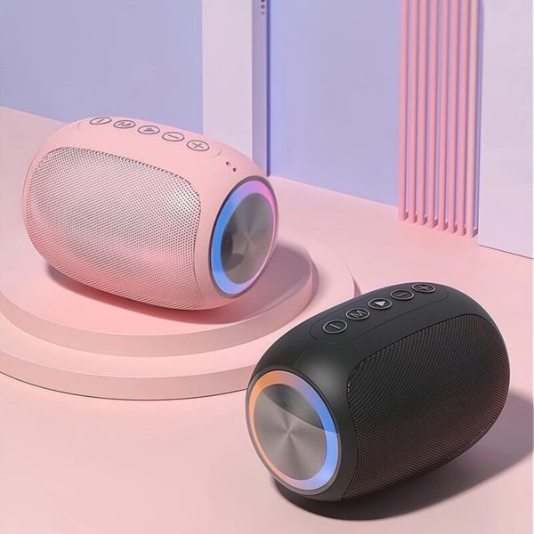 Wireless Monitor Stage Loud speakers